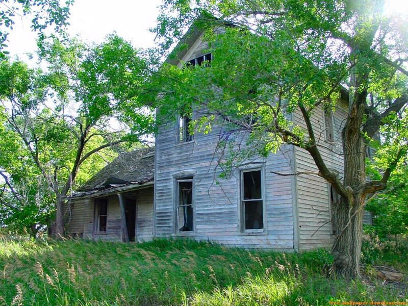 Abandoned House in Grass