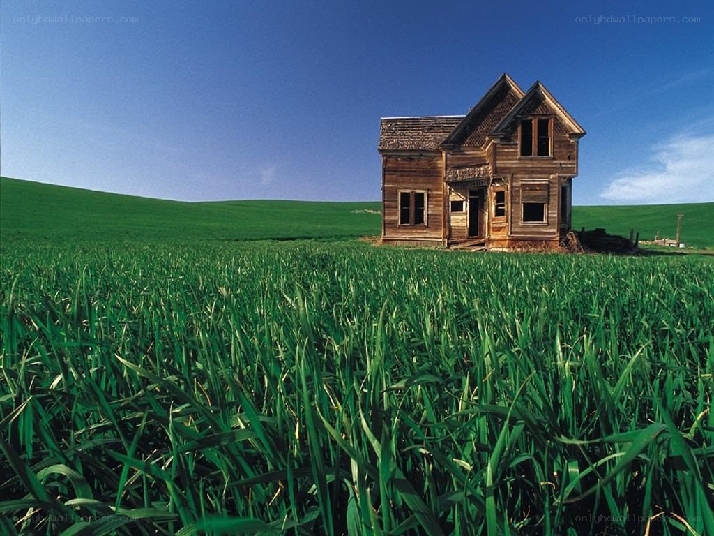 Abandoned house in green field