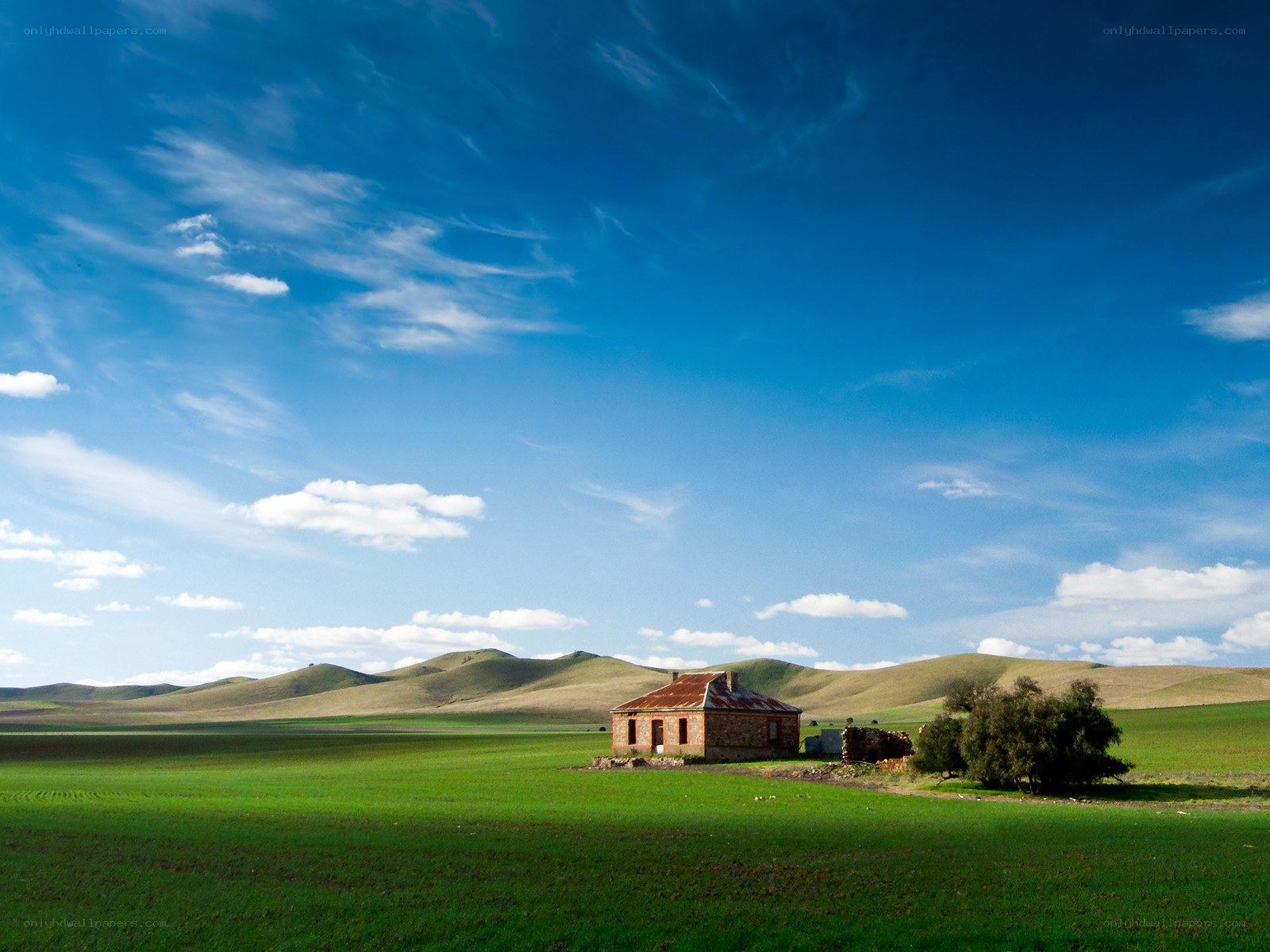 Abandoned house in green field
