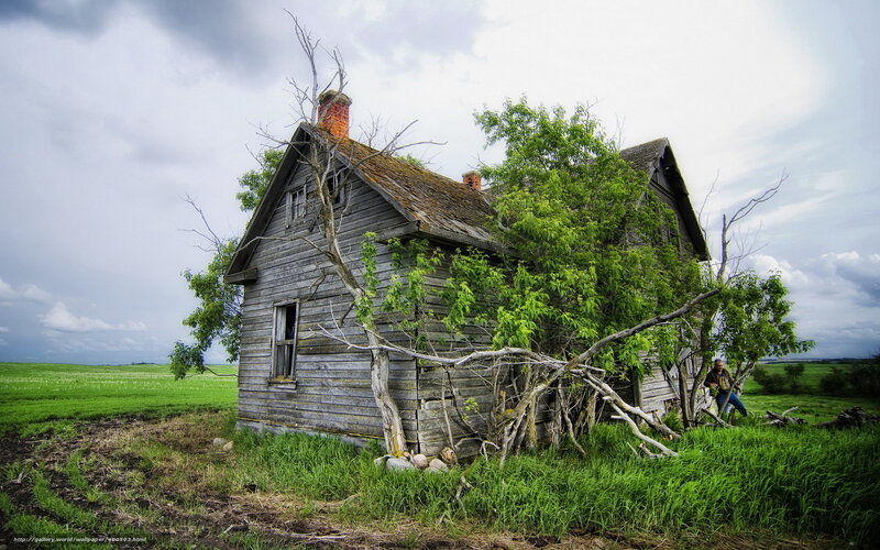 Abandoned house in green field