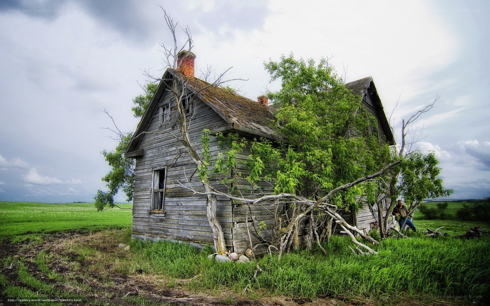 Abandoned house in green field
