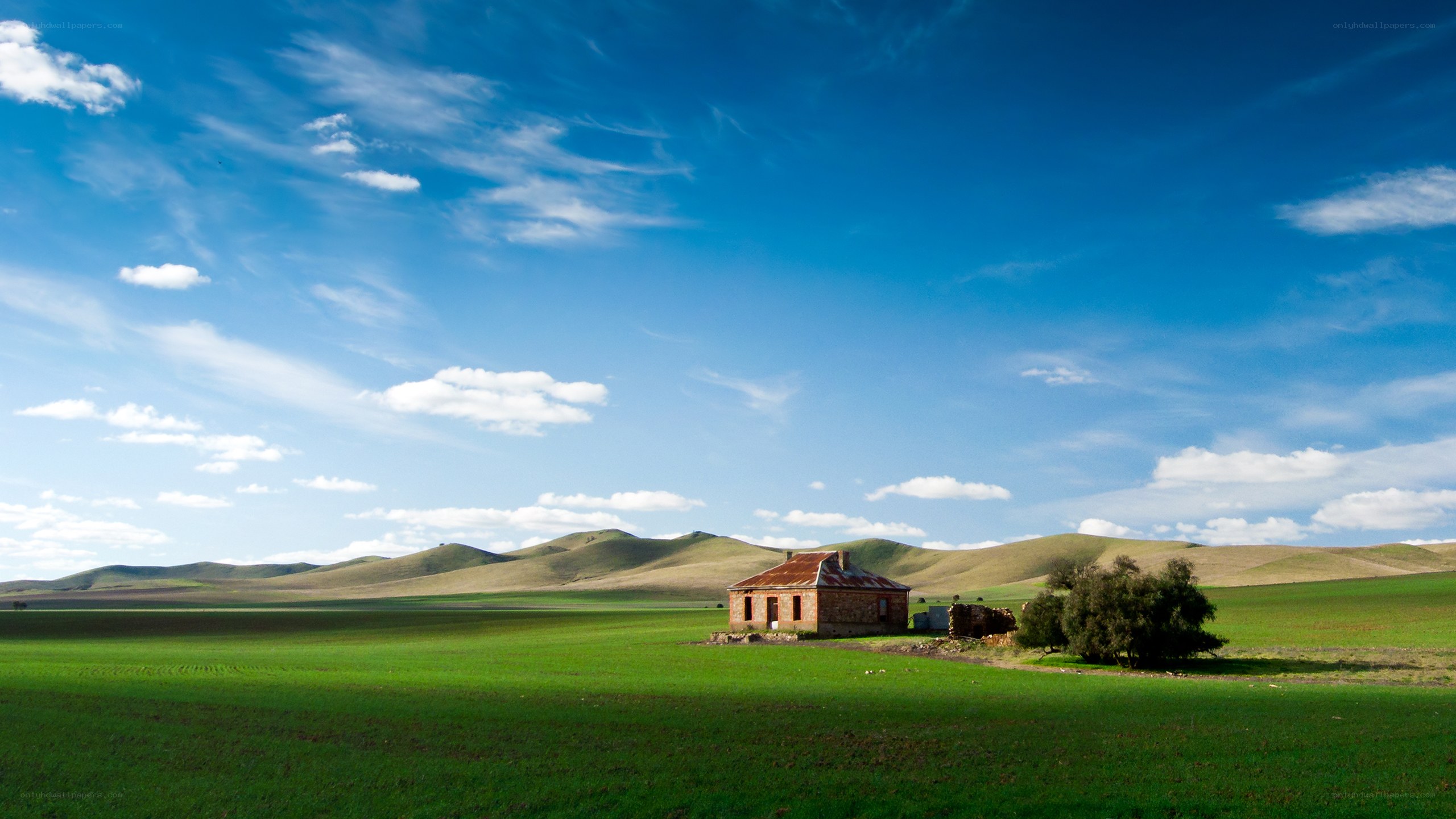 Abandoned house in green fields