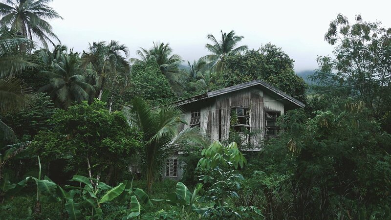 Abandoned House in Jungle — Green