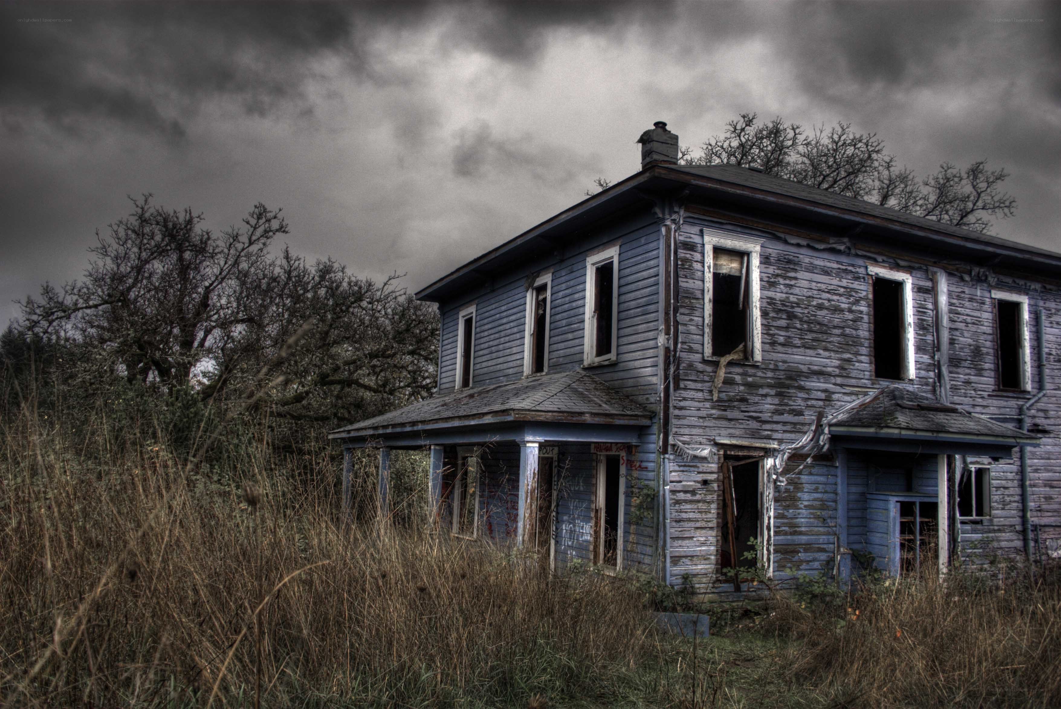 abandoned house in overgrown field