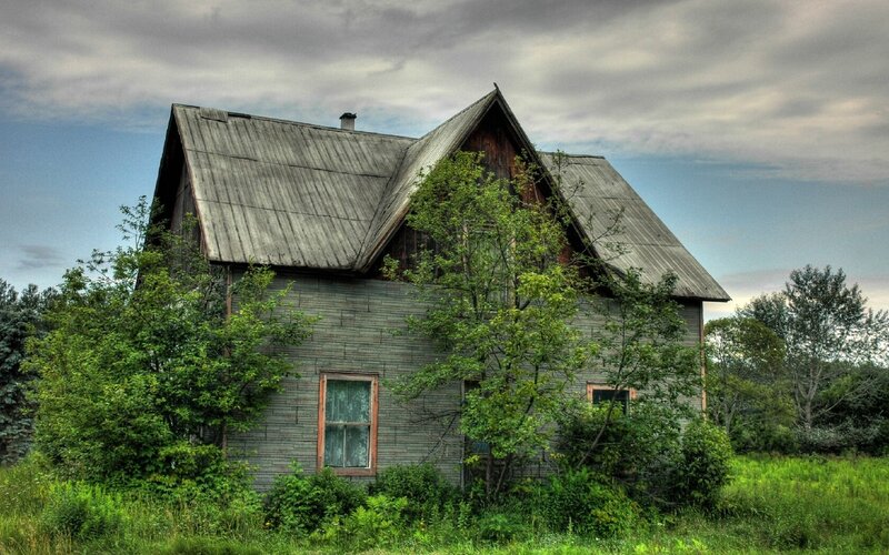 abandoned house in overgrown field