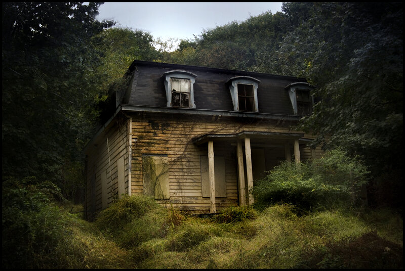 abandoned house in overgrown woods