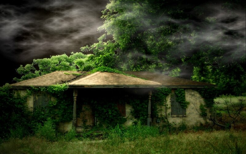 abandoned house in overgrown woods