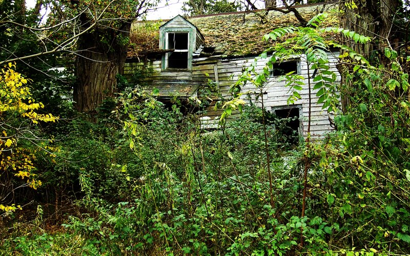 abandoned house in overgrown woods