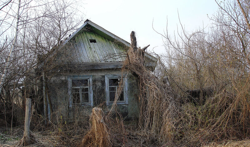 abandoned house in overgrown yard