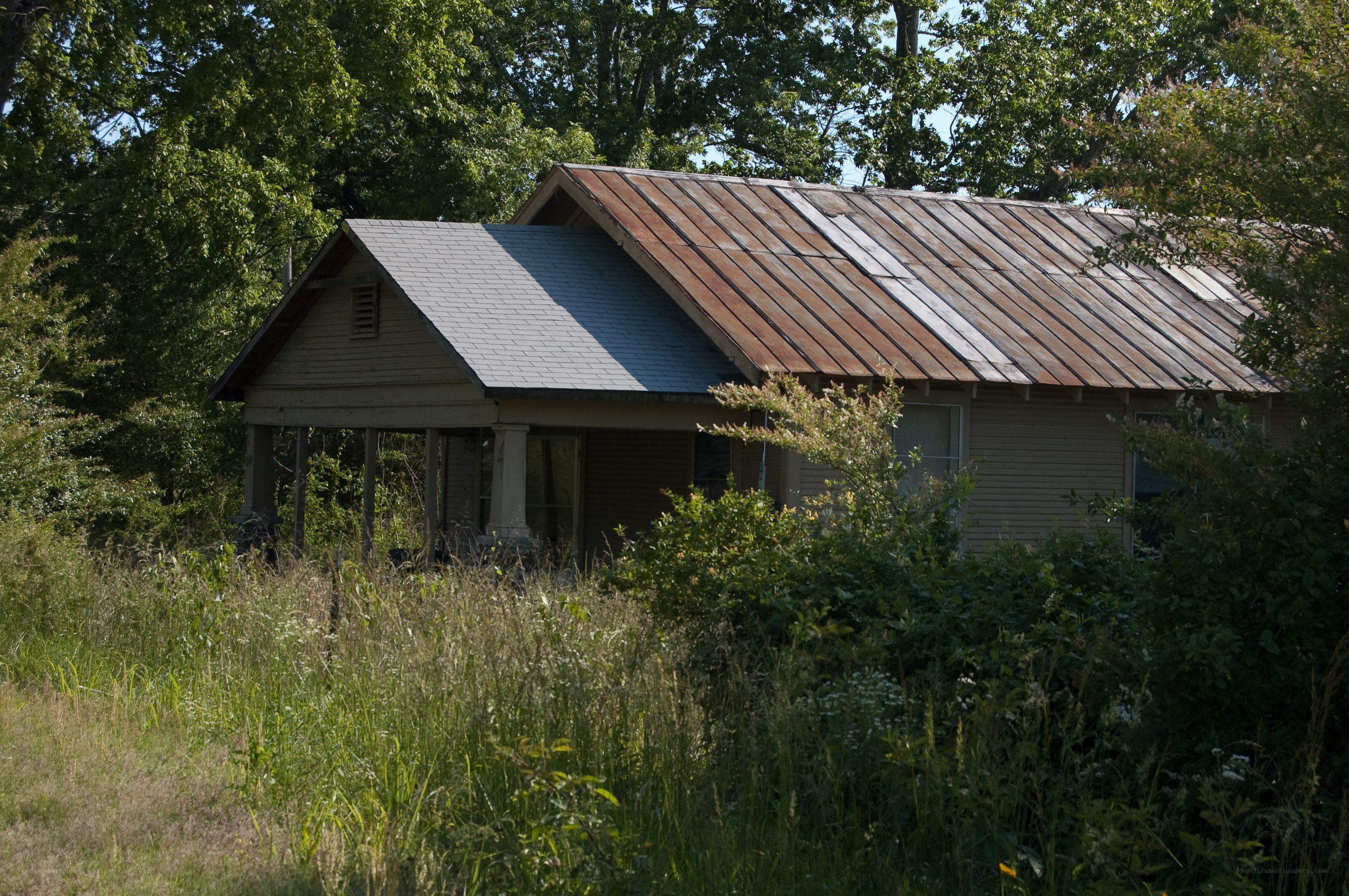 Abandoned house in overgrown yard