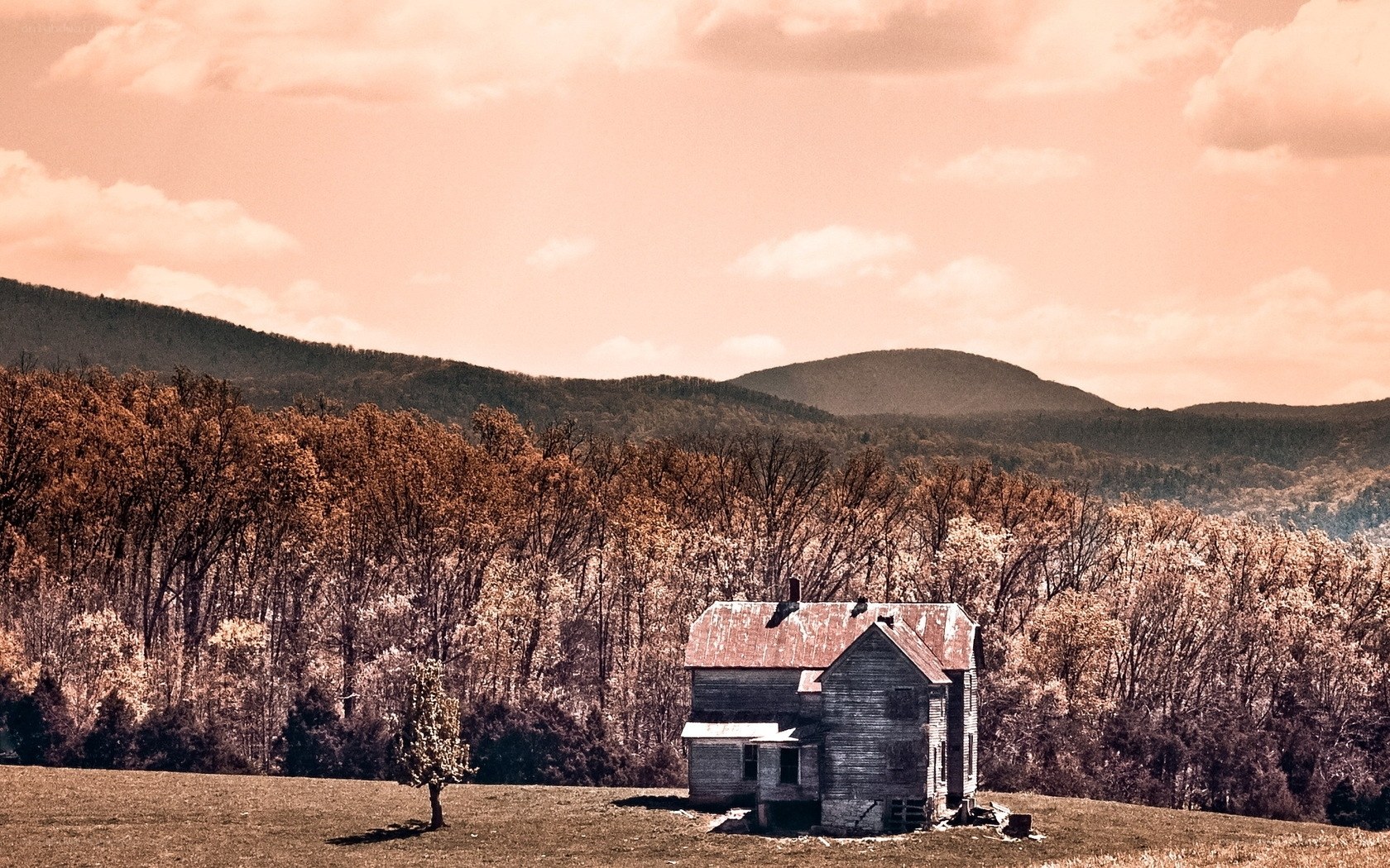 Abandoned house in rural landscape