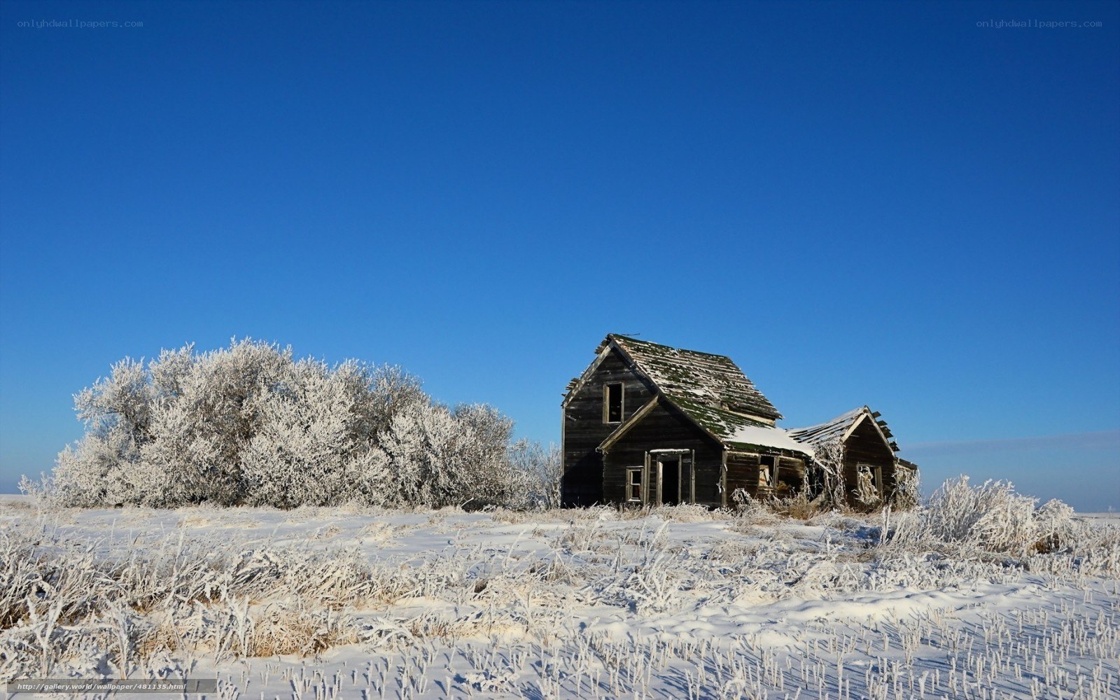 Abandoned house in winter