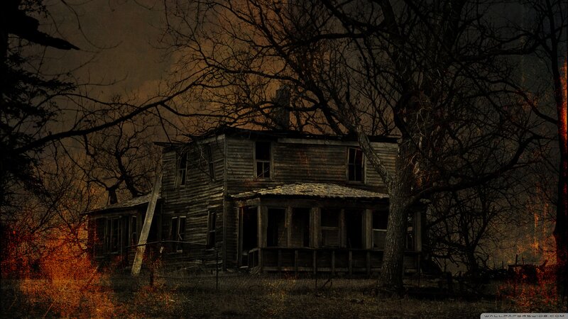 Abandoned House in Woods — Brown