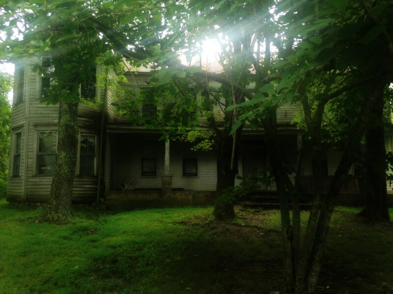 Abandoned House in Woods — Green