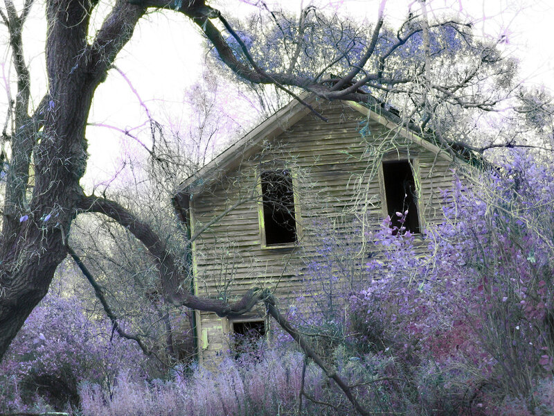 Abandoned House in Woods — Purple
