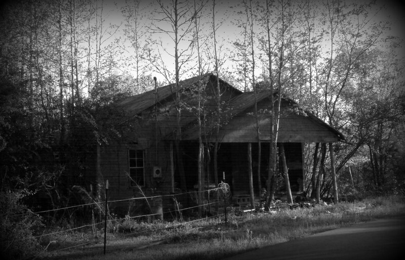 Abandoned House in Woods