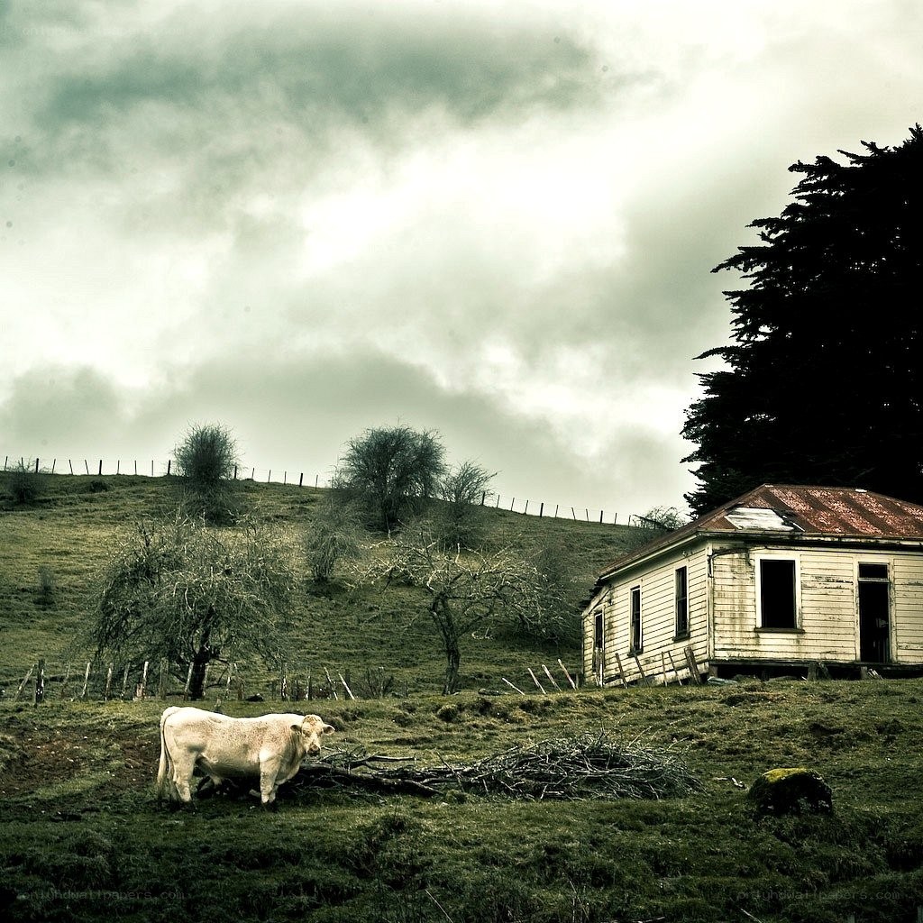 Abandoned house on a hillside