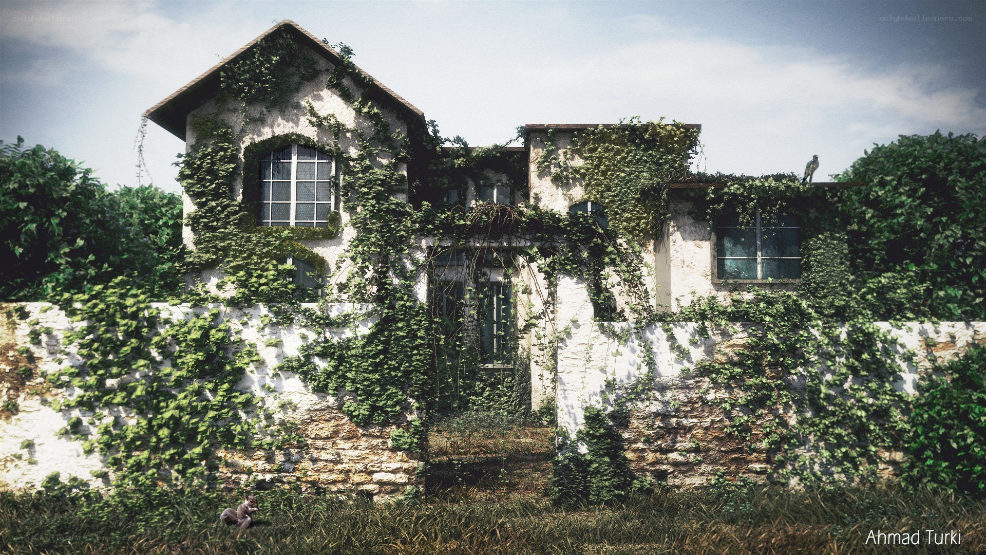 Abandoned house overgrown with ivy