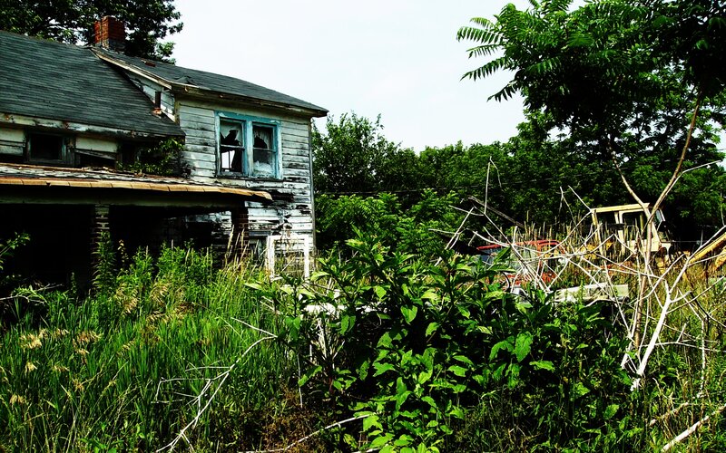 abandoned house overgrown with weeds
