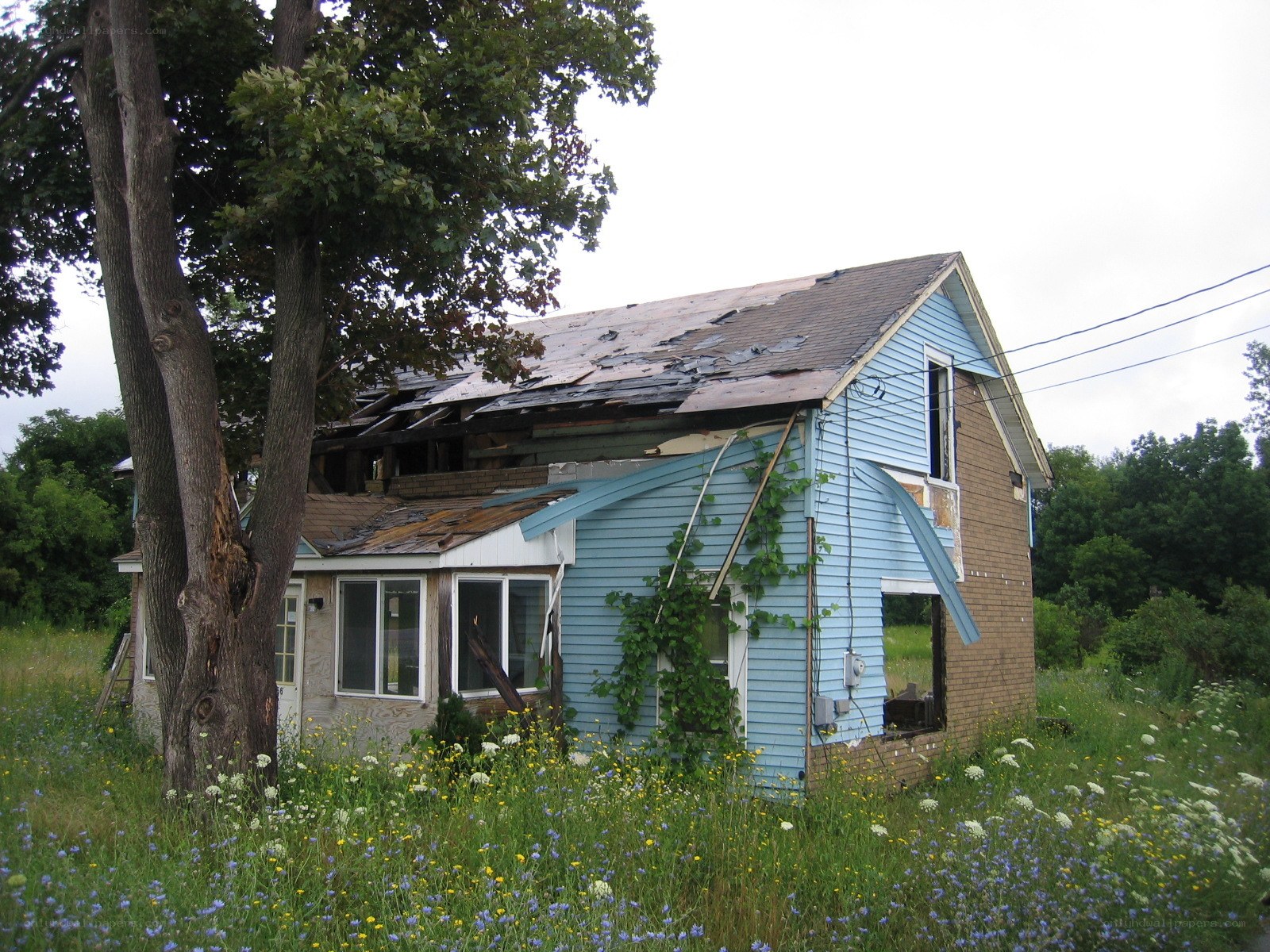 abandoned house with damaged roof