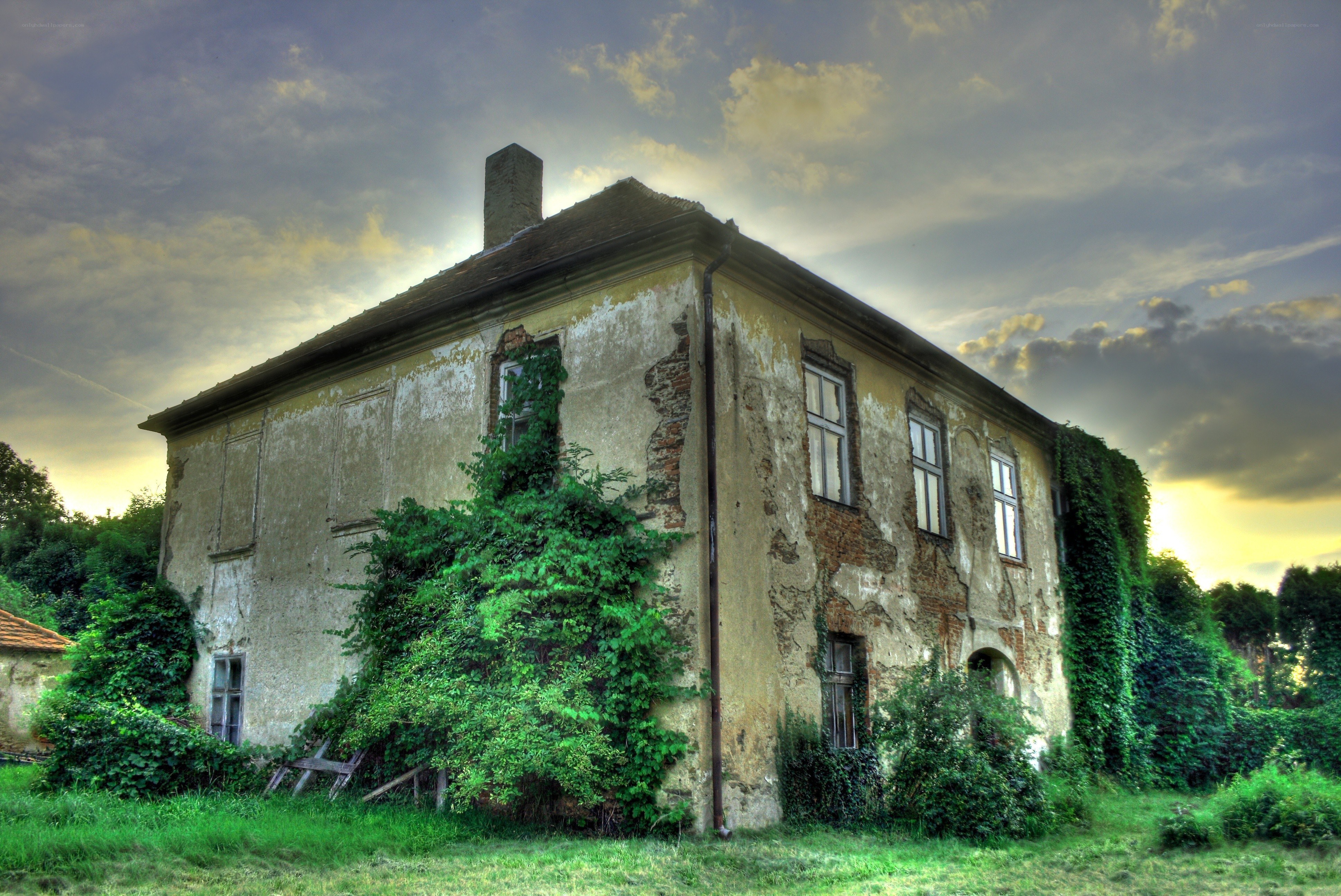 Abandoned house with ivy