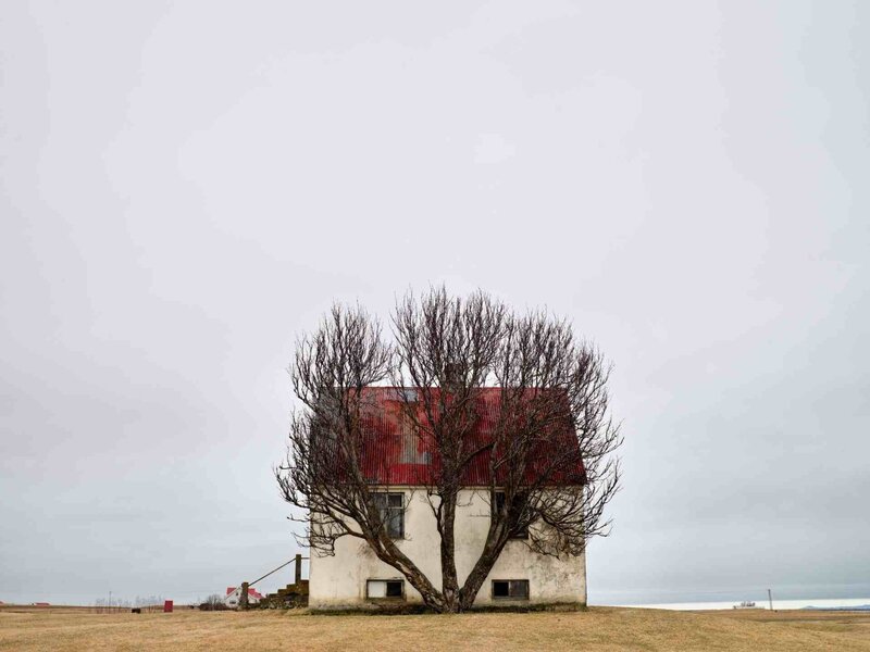 Abandoned House with Tree