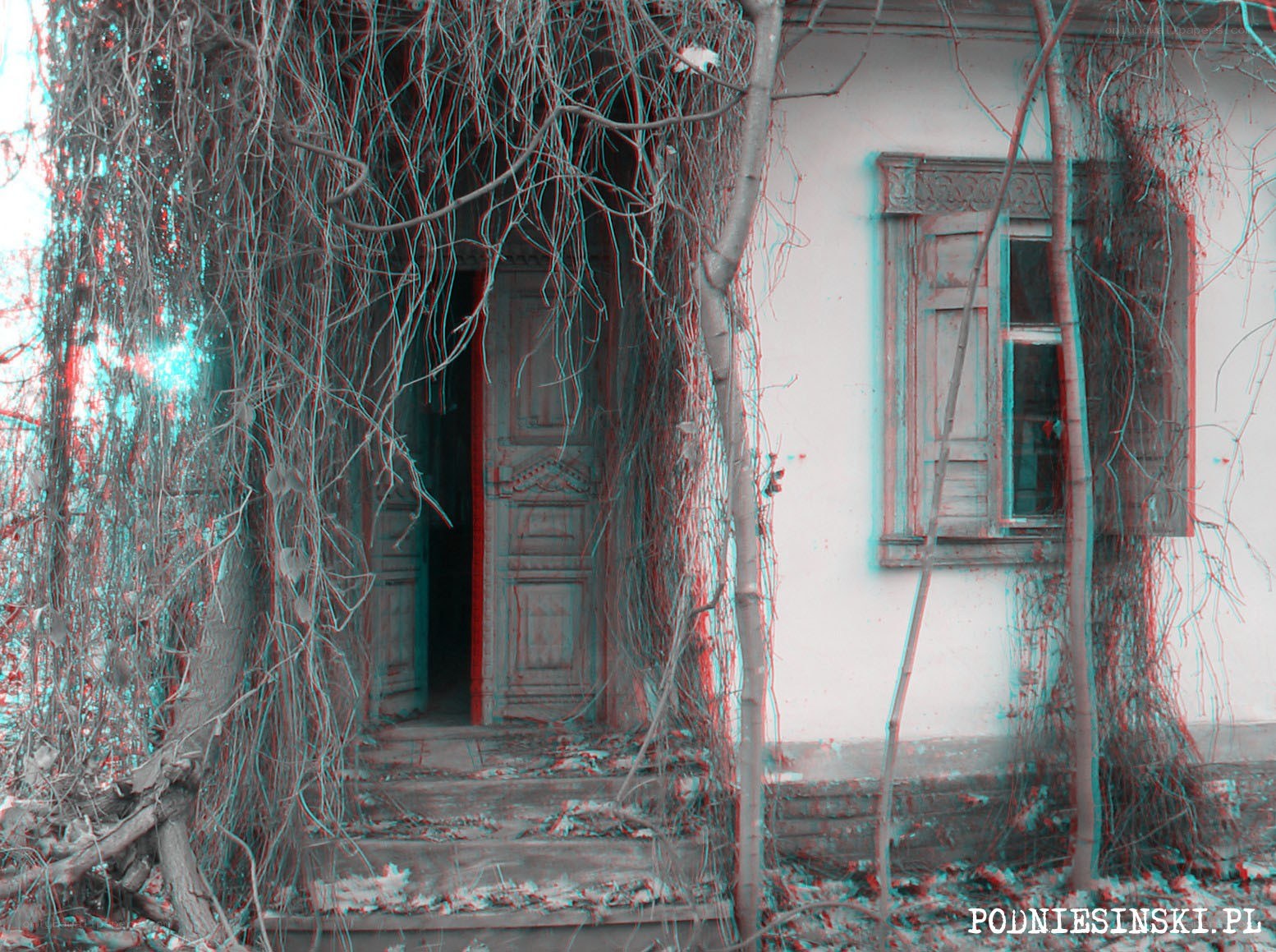 Abandoned house with vines