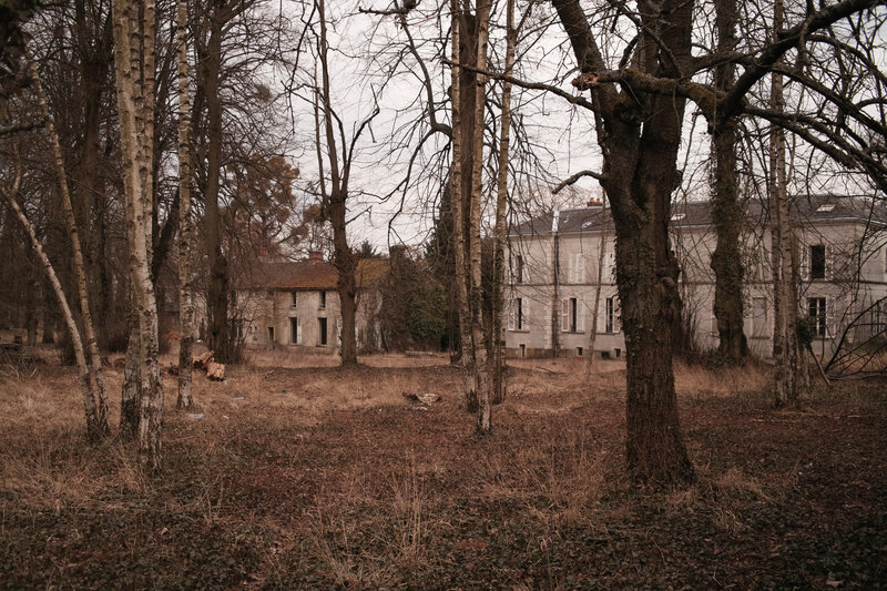 Abandoned houses in a wooded area