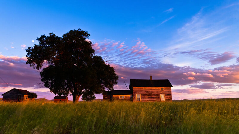 Abandoned Houses in Field — Blue