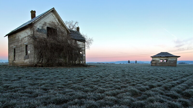 Abandoned Houses in Field