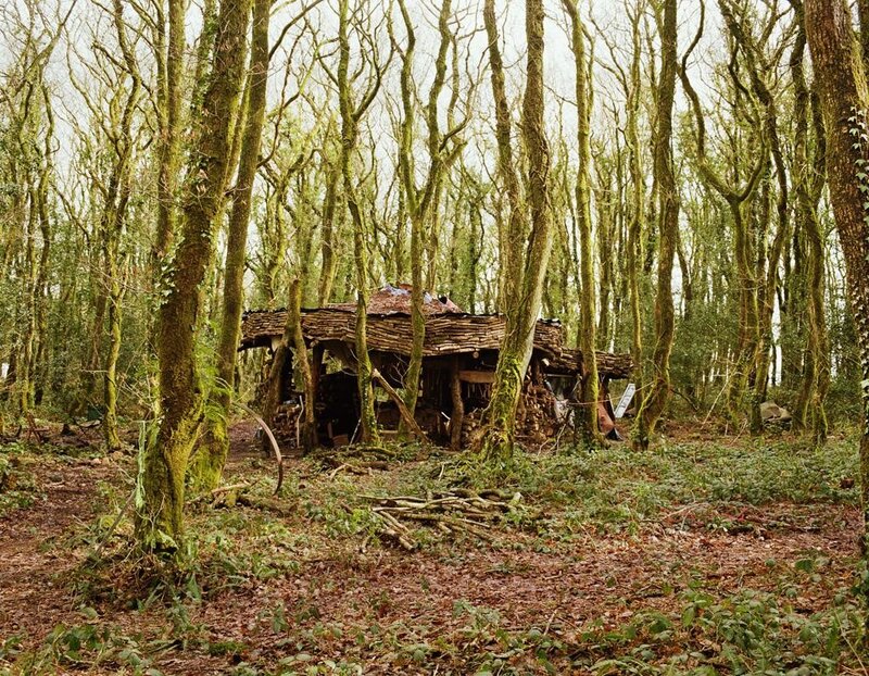 Abandoned hut in a forest