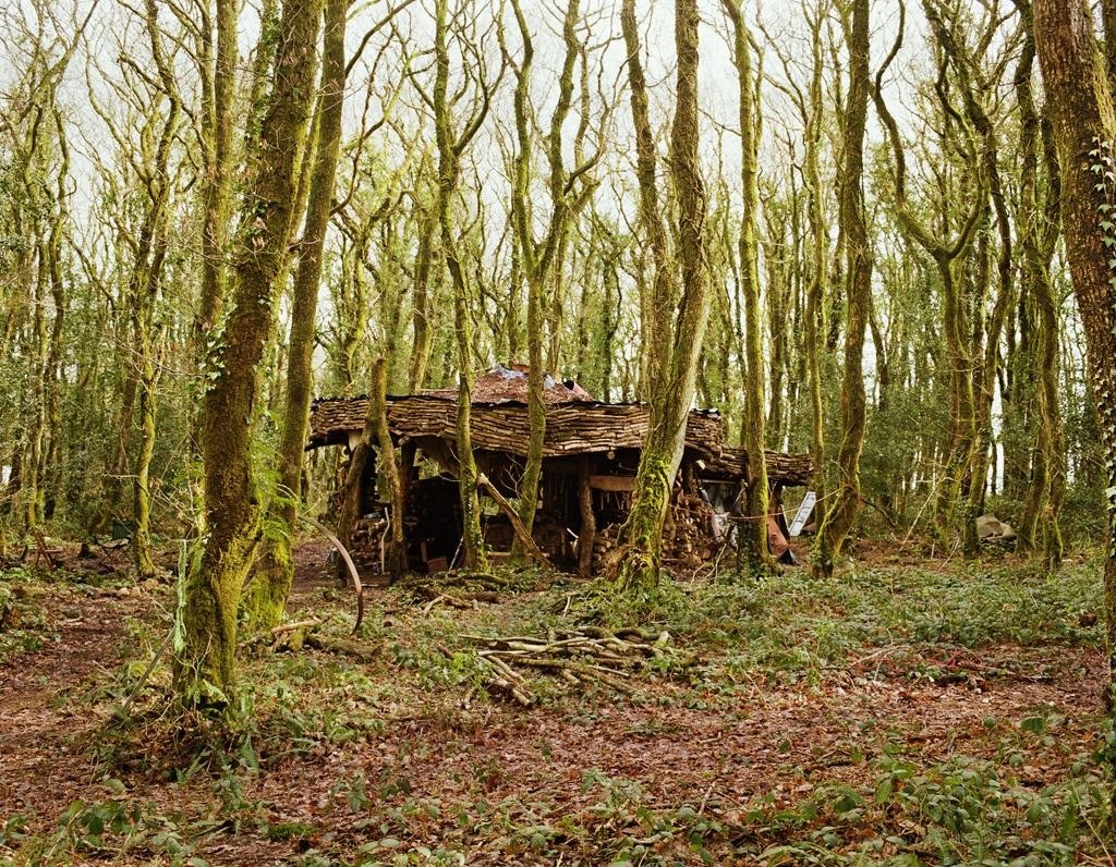 Abandoned hut in a forest