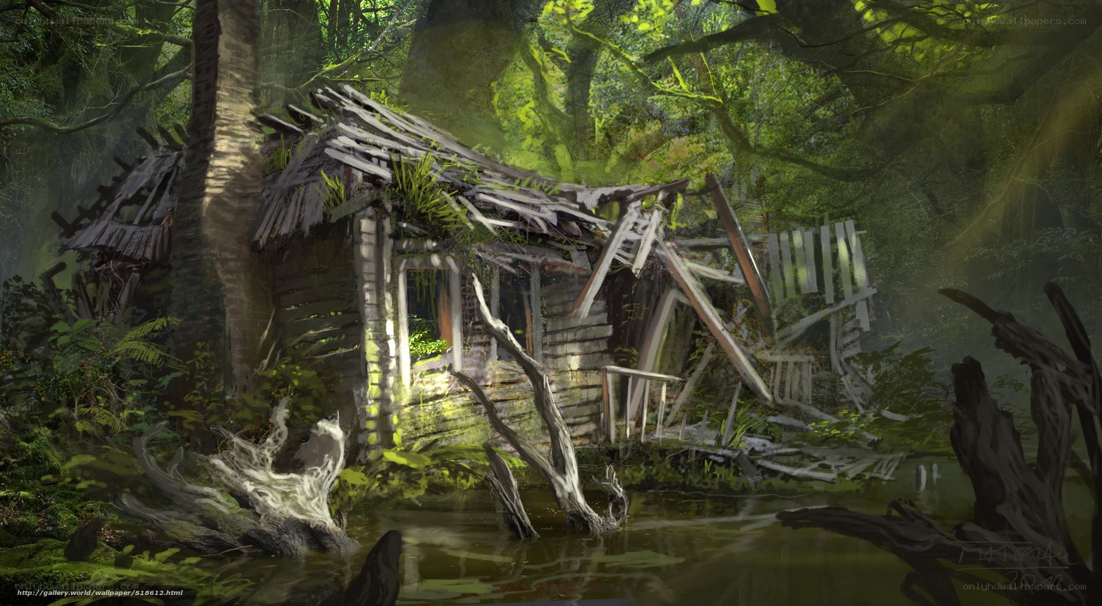 Abandoned hut in forest swamp