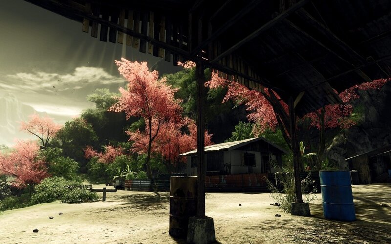 Abandoned Hut in Forest