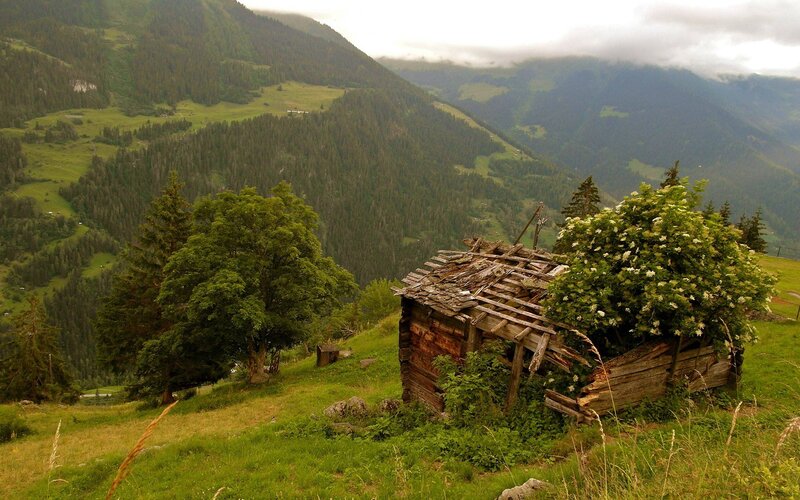 Abandoned hut in mountain valley