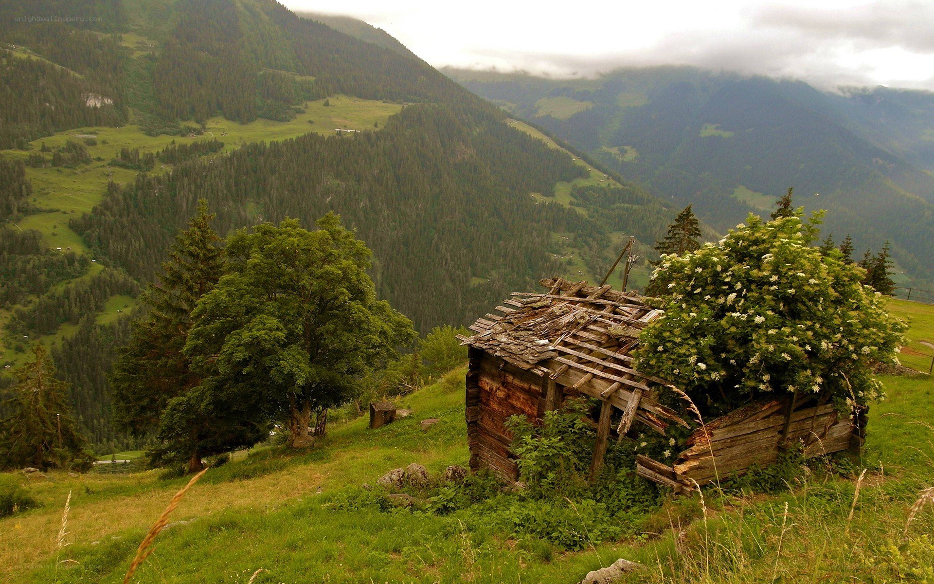 Abandoned hut in mountain valley