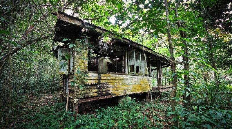 Abandoned hut in the forest