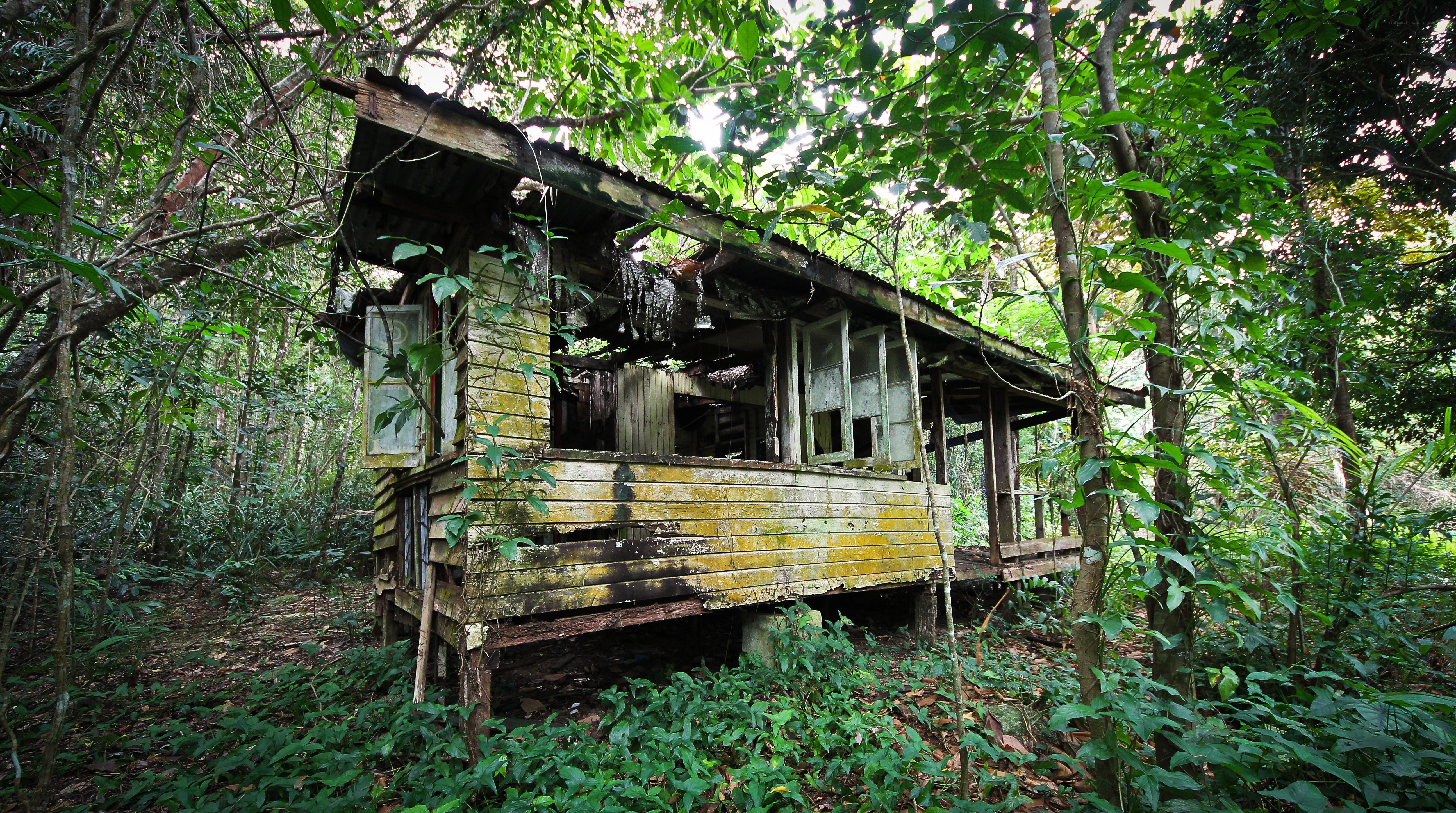 Abandoned hut in the forest