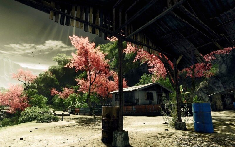 Abandoned Hut with Cherry Trees