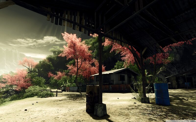 Abandoned Hut with Pink Trees