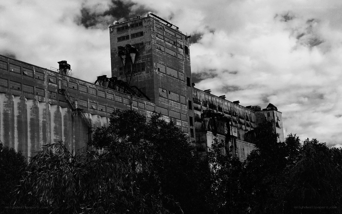 Abandoned industrial building