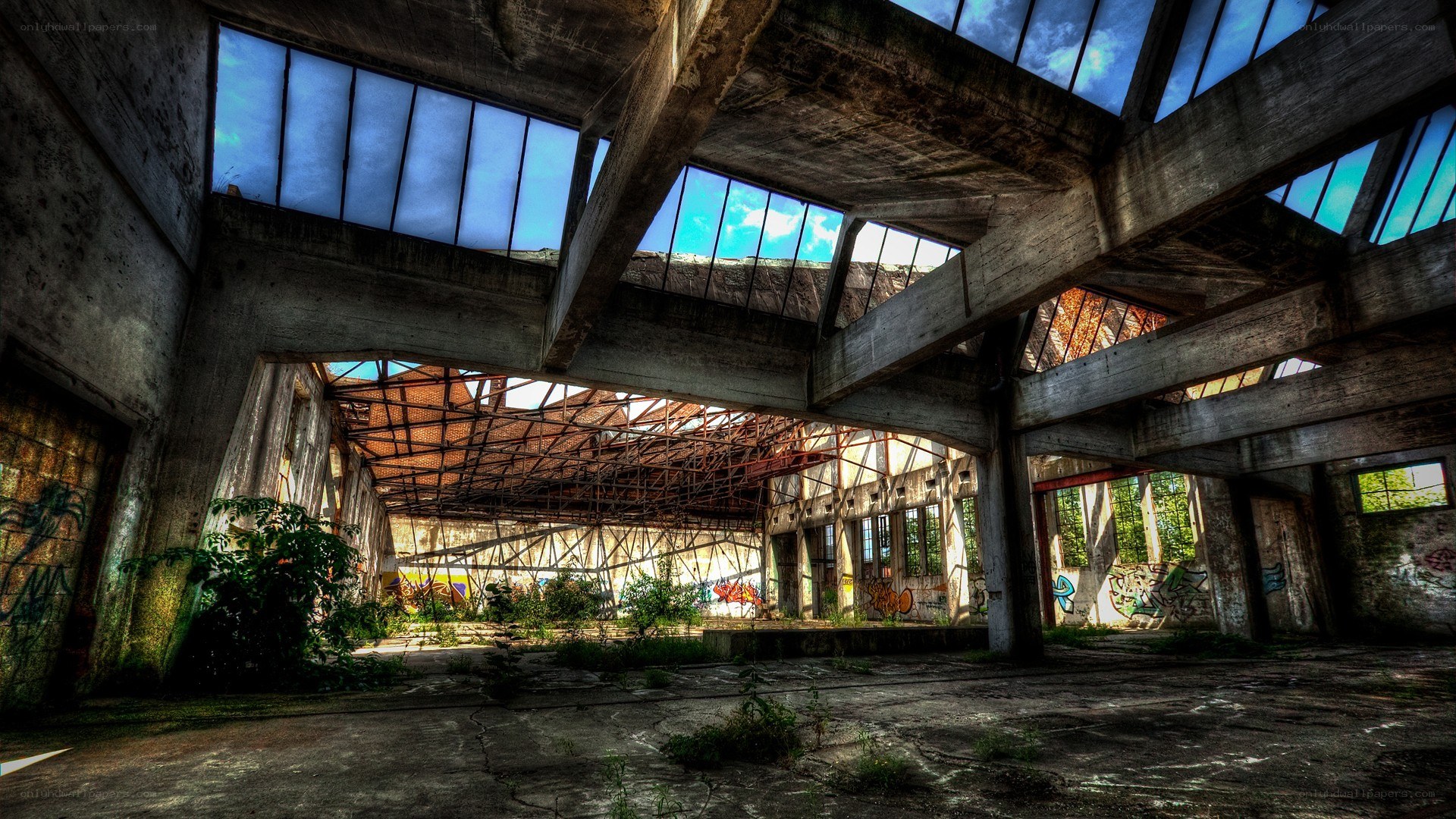 Abandoned industrial hall