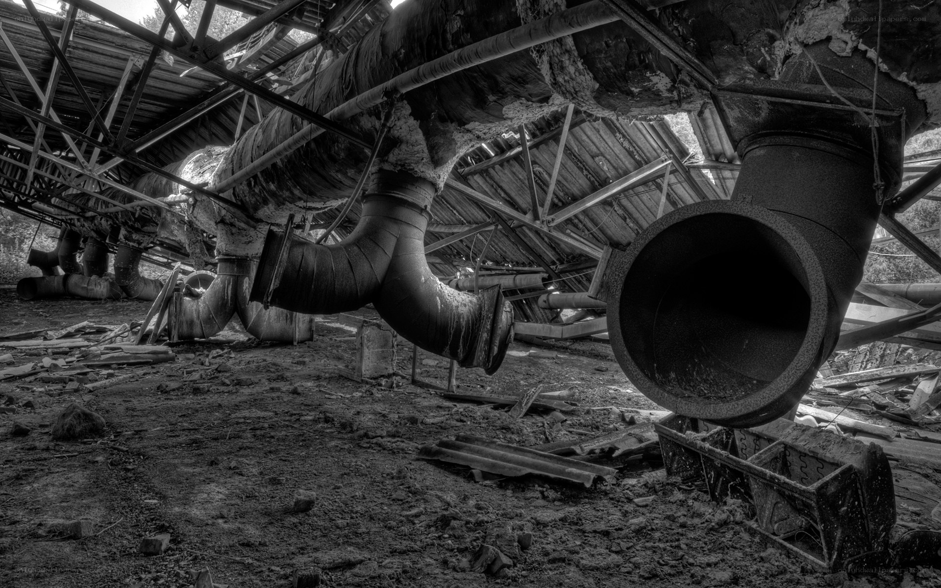 Abandoned industrial pipes
