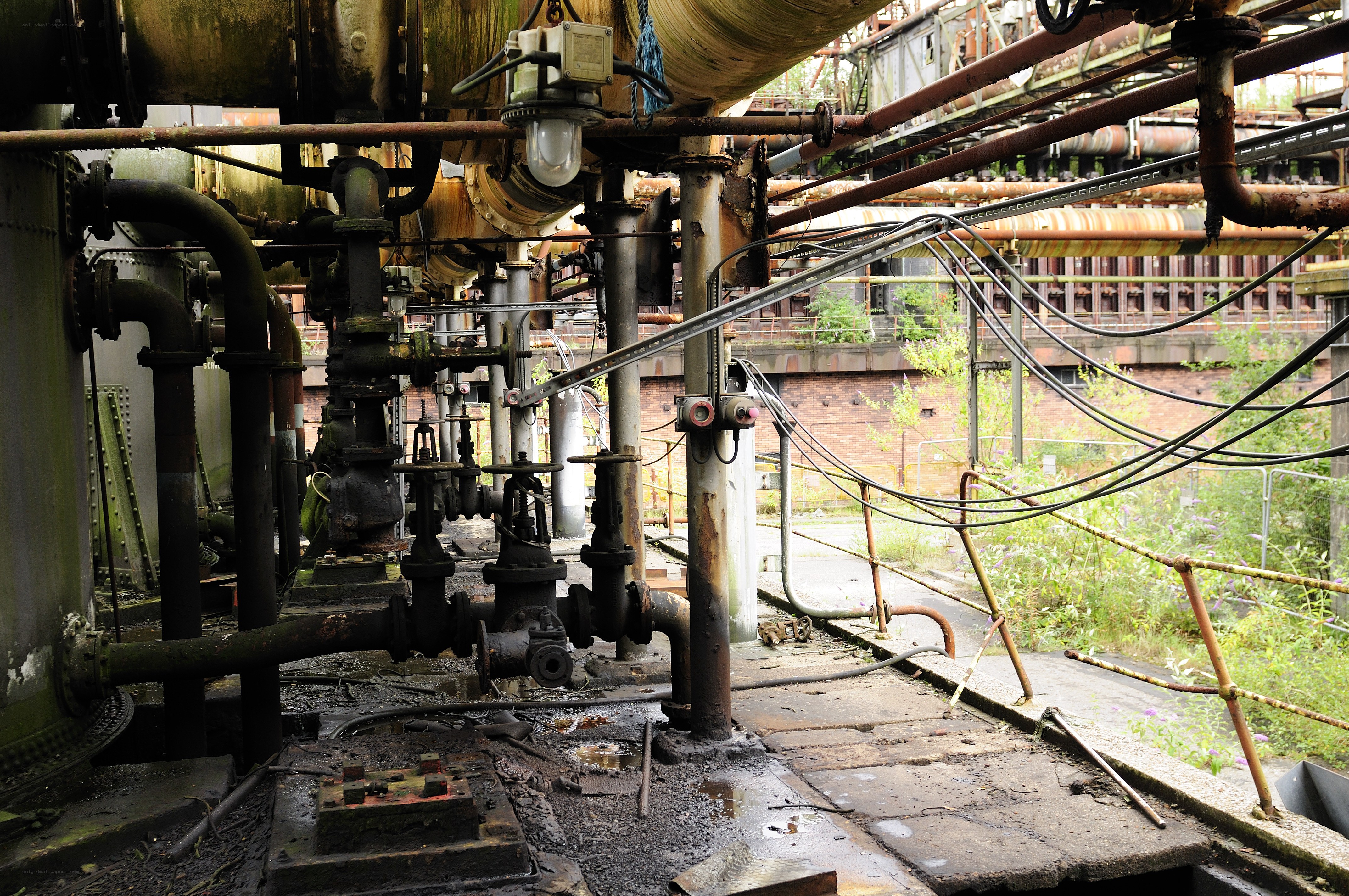 abandoned industrial plant