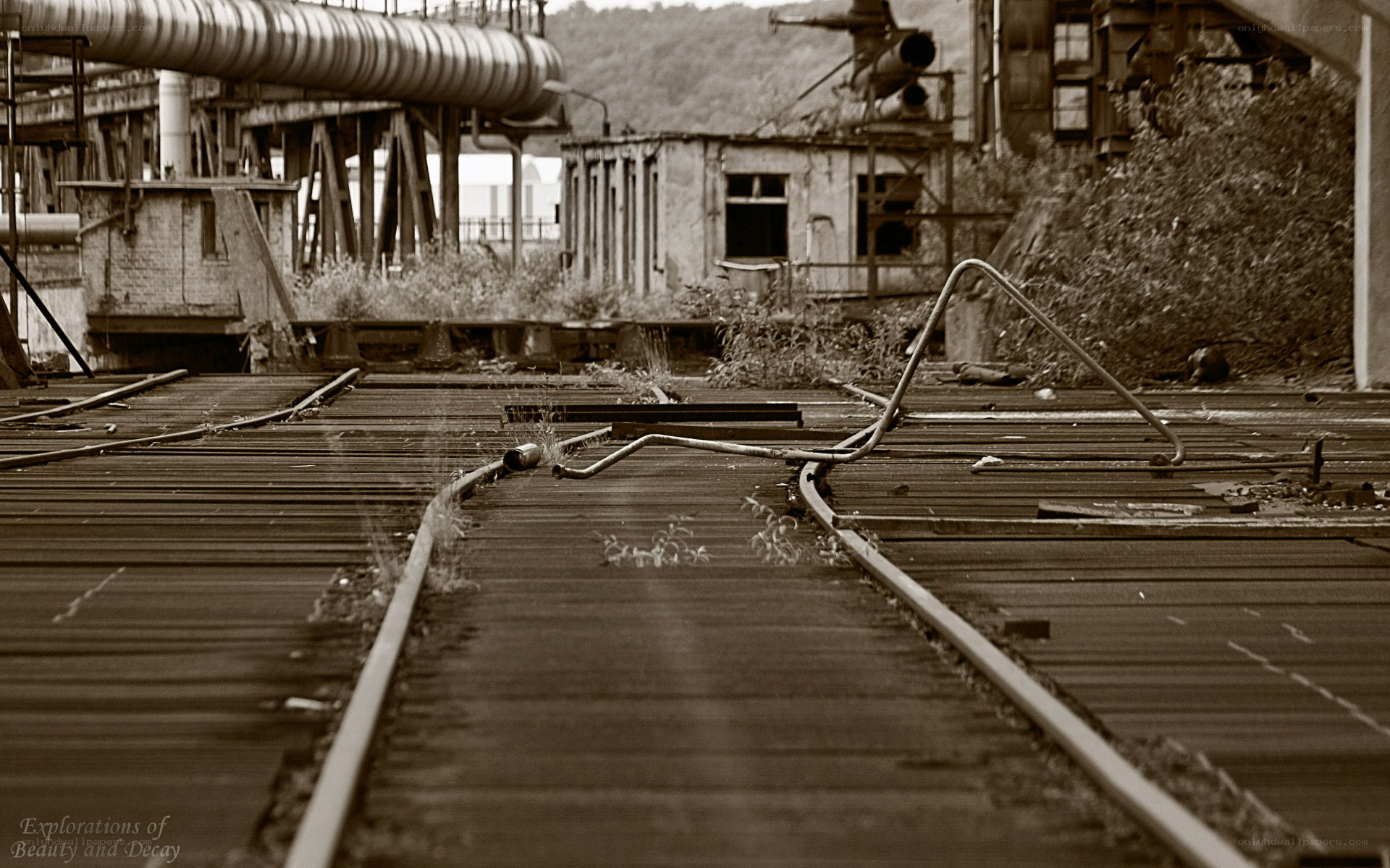 Abandoned industrial railway