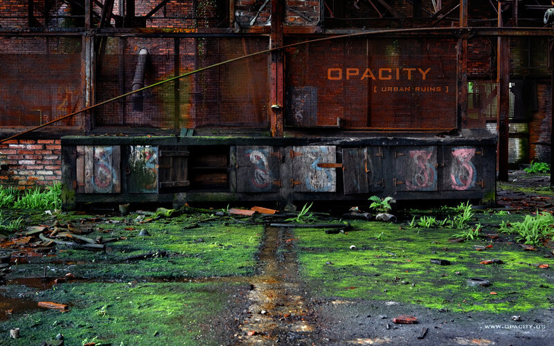 abandoned industrial ruin