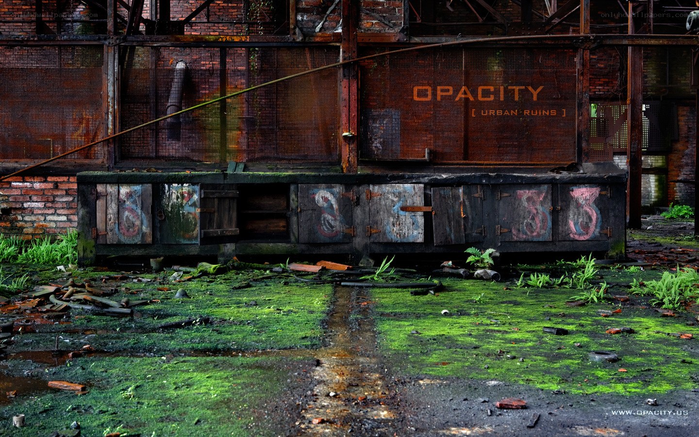 abandoned industrial ruin
