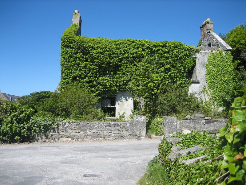 Abandoned ivy-covered cottage