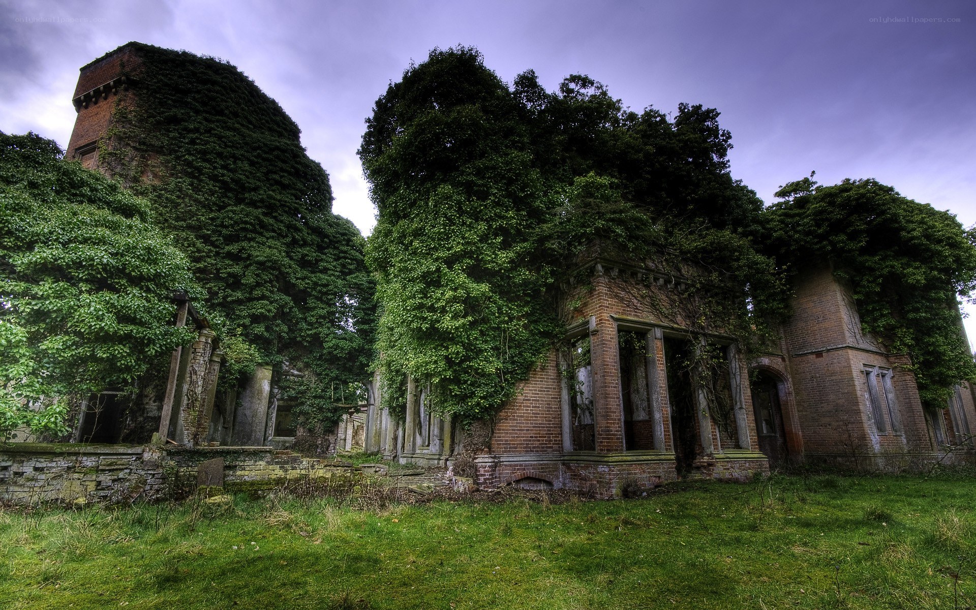 abandoned ivy-covered mansion