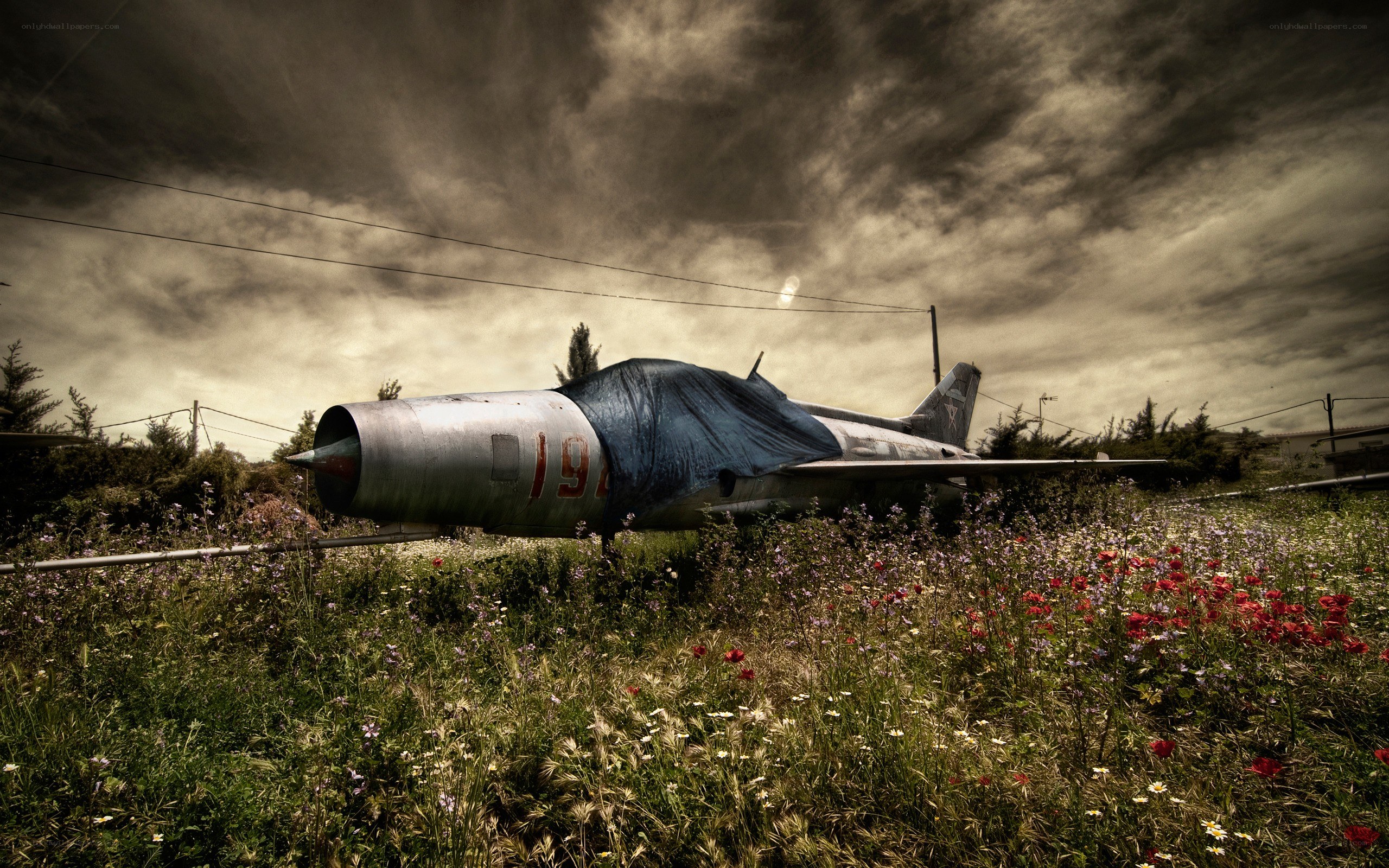 Abandoned jet in a field
